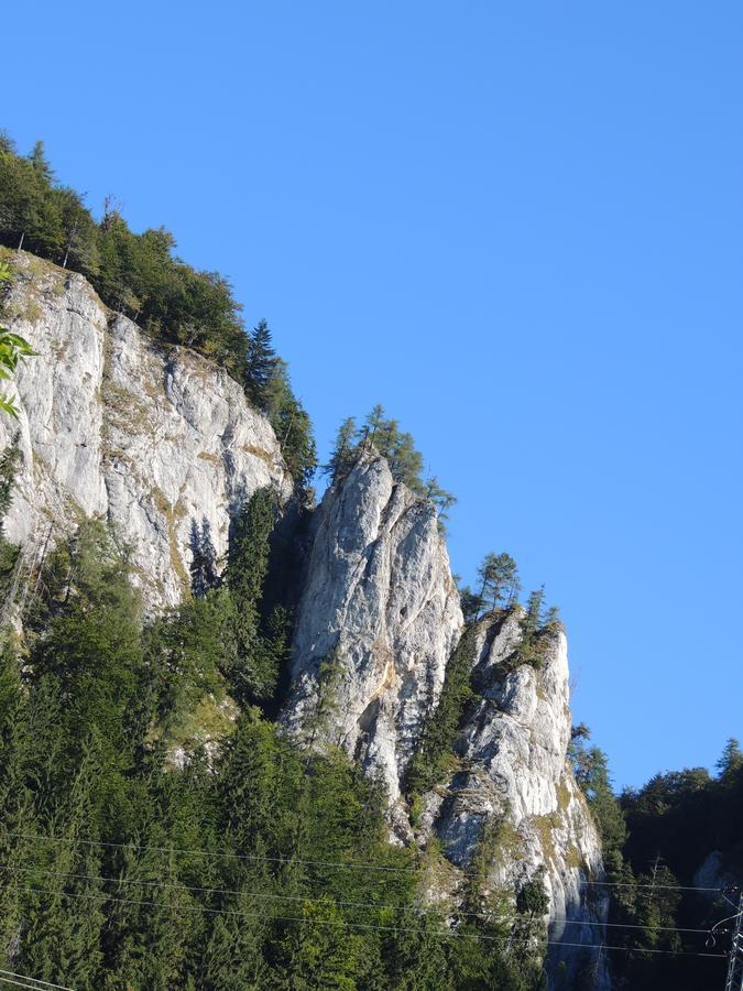 Penzion Borovica Stratená Exterior foto